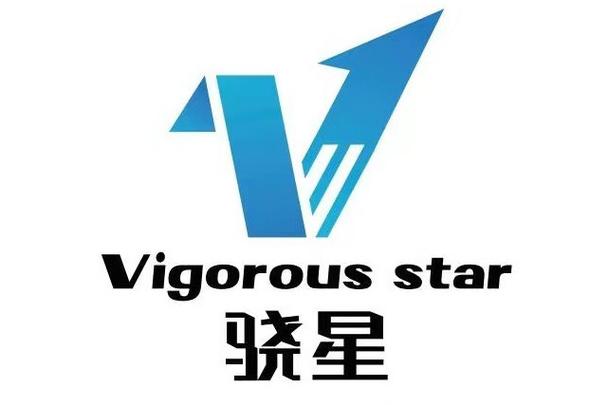 浙江骁星科技 数字化转型中的专业信息咨询服务与价值创造